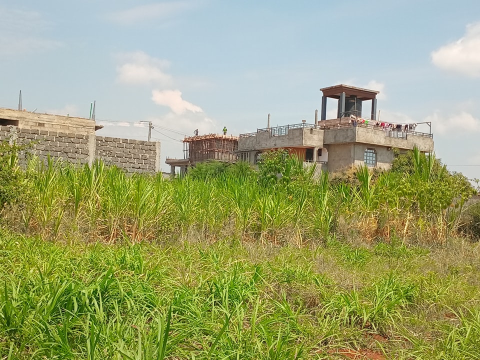 480961055_559600717132491_4622584268577598115_n