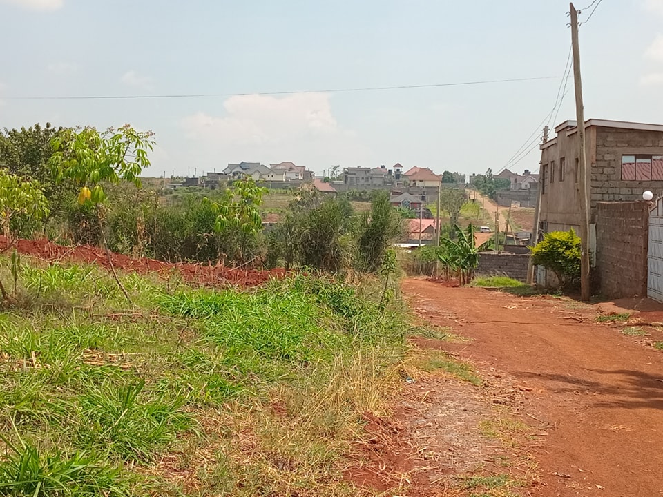 481898468_559600733799156_1199456490098974424_n