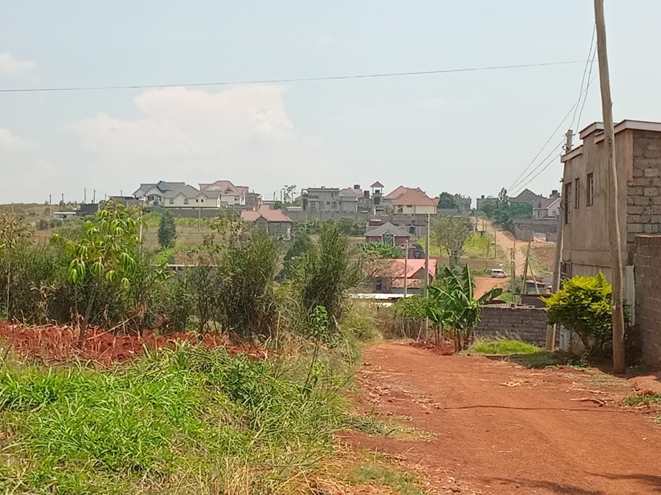 481982746_559600703799159_4252654591334729063_n