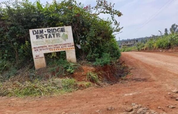 502159675_630360453389850_7109169111755316101_n