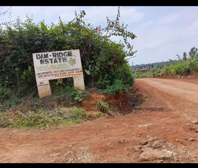 502159675_630360453389850_7109169111755316101_n